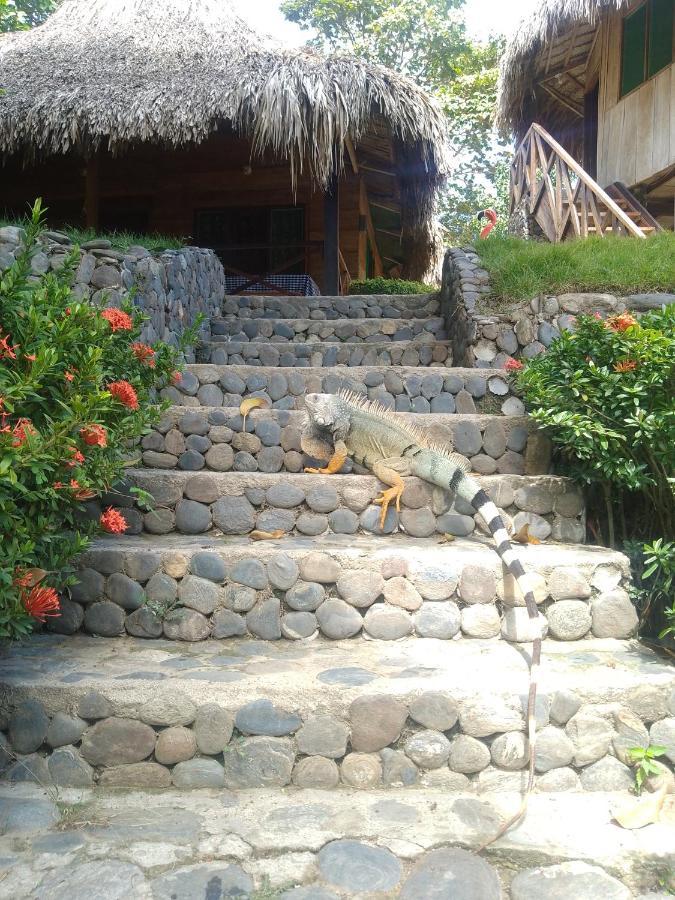 Ecocabanas Diosa Jaguar Tayrona La Esmeralda  Εξωτερικό φωτογραφία