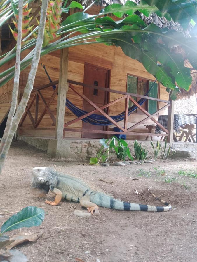 Ecocabanas Diosa Jaguar Tayrona La Esmeralda  Εξωτερικό φωτογραφία