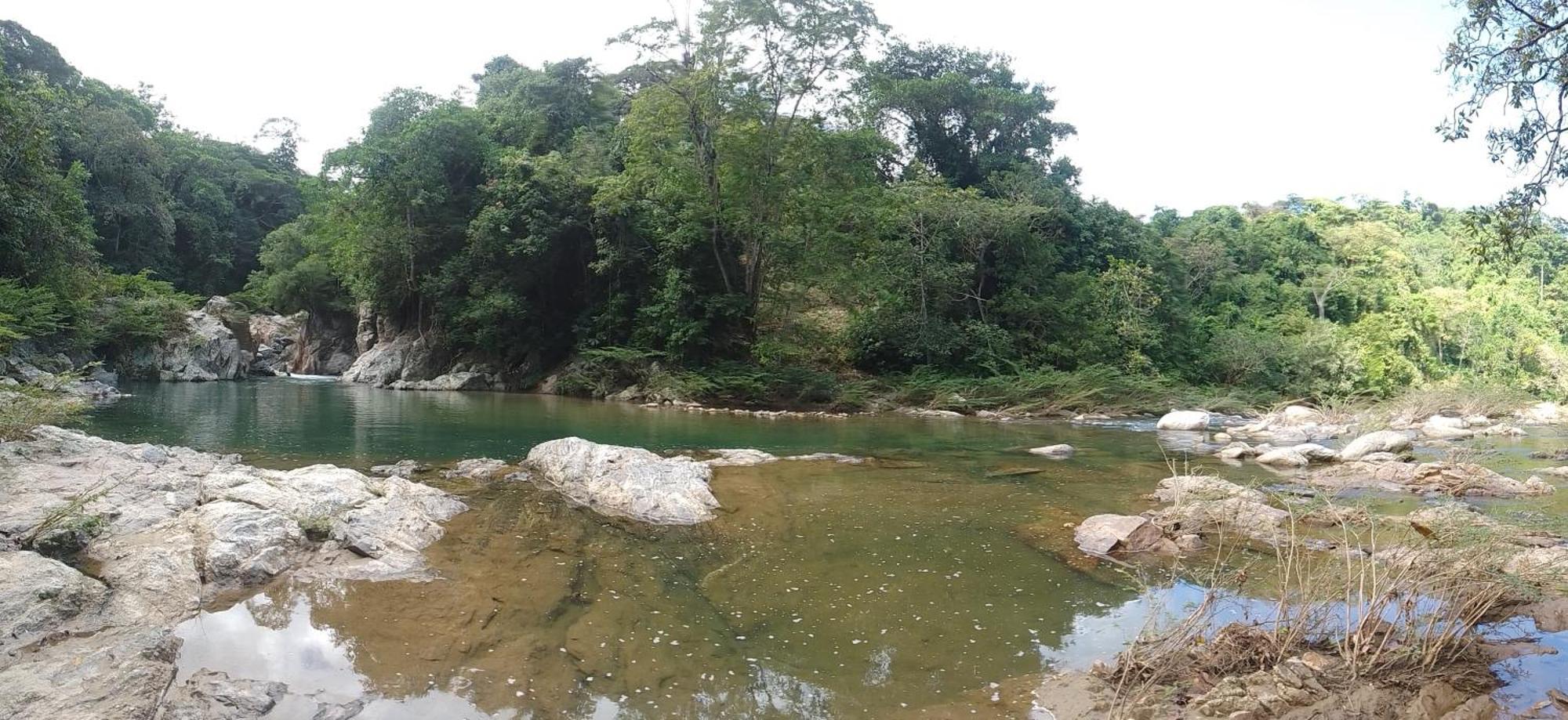 Ecocabanas Diosa Jaguar Tayrona La Esmeralda  Εξωτερικό φωτογραφία