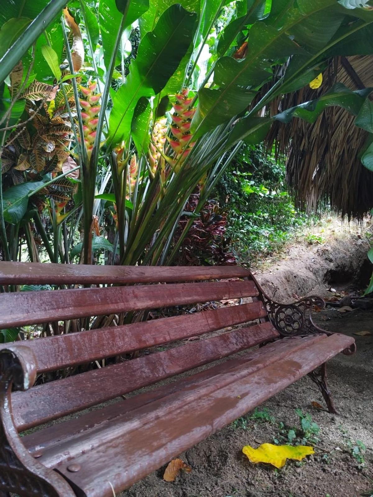 Ecocabanas Diosa Jaguar Tayrona La Esmeralda  Δωμάτιο φωτογραφία