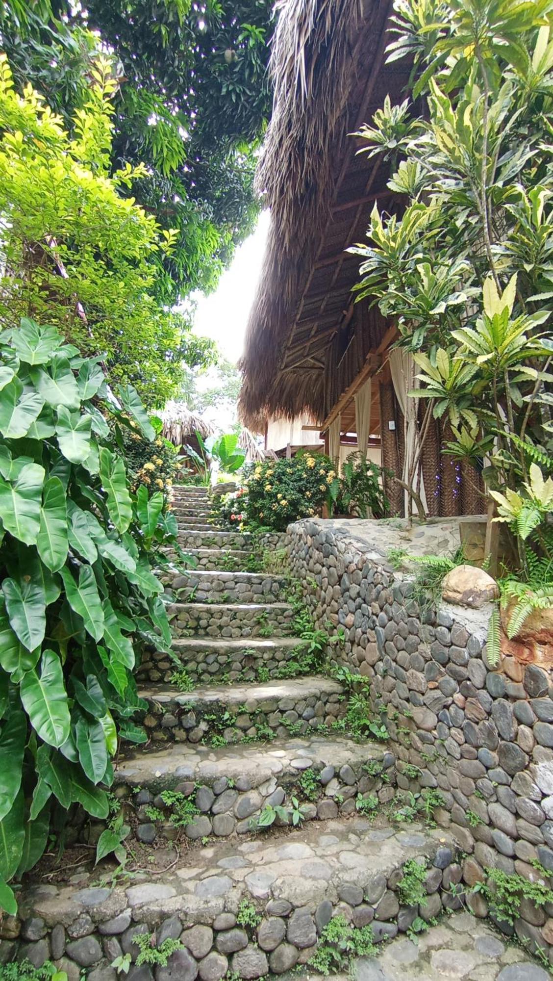 Ecocabanas Diosa Jaguar Tayrona La Esmeralda  Εξωτερικό φωτογραφία