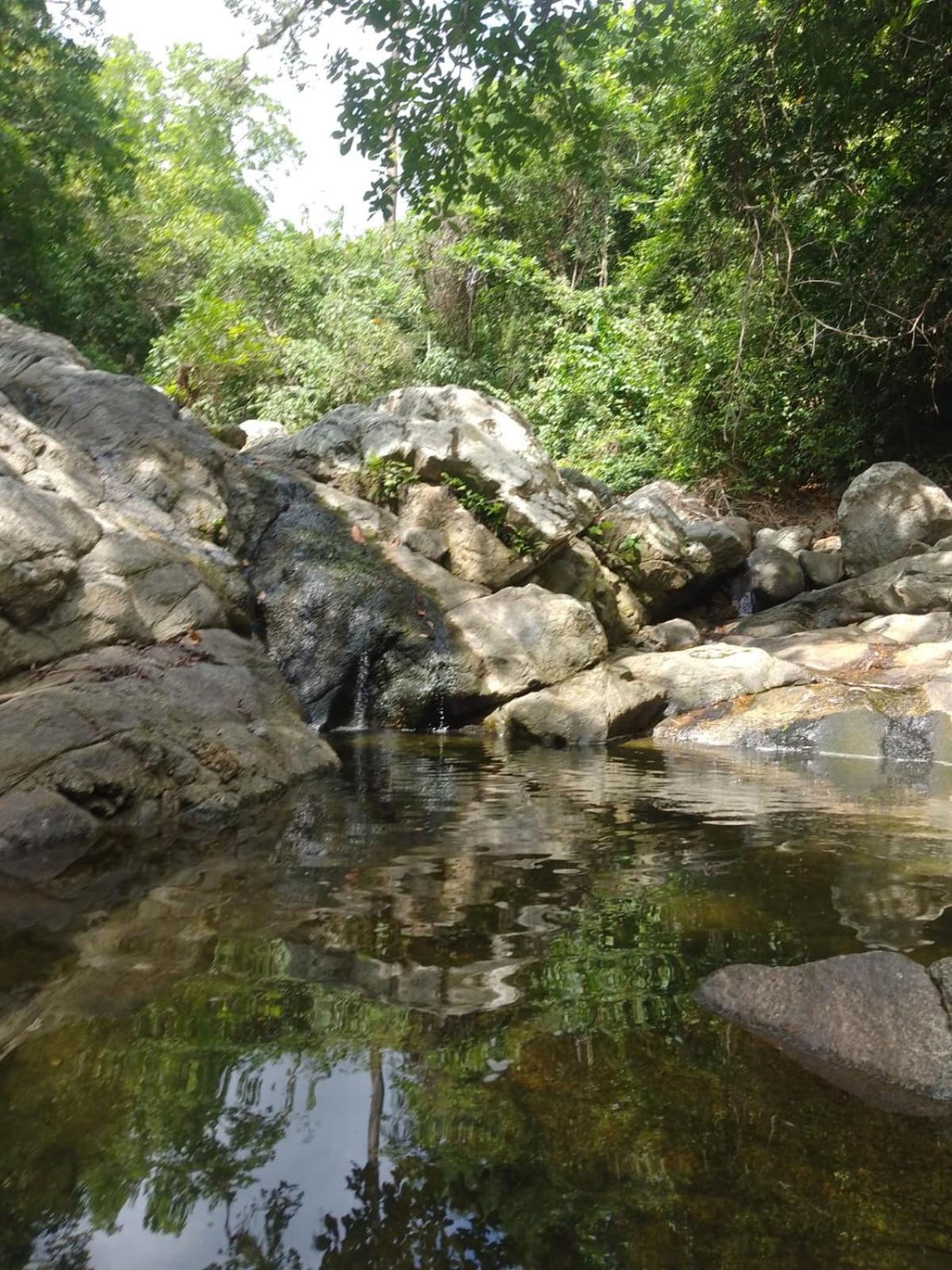 Ecocabanas Diosa Jaguar Tayrona La Esmeralda  Εξωτερικό φωτογραφία