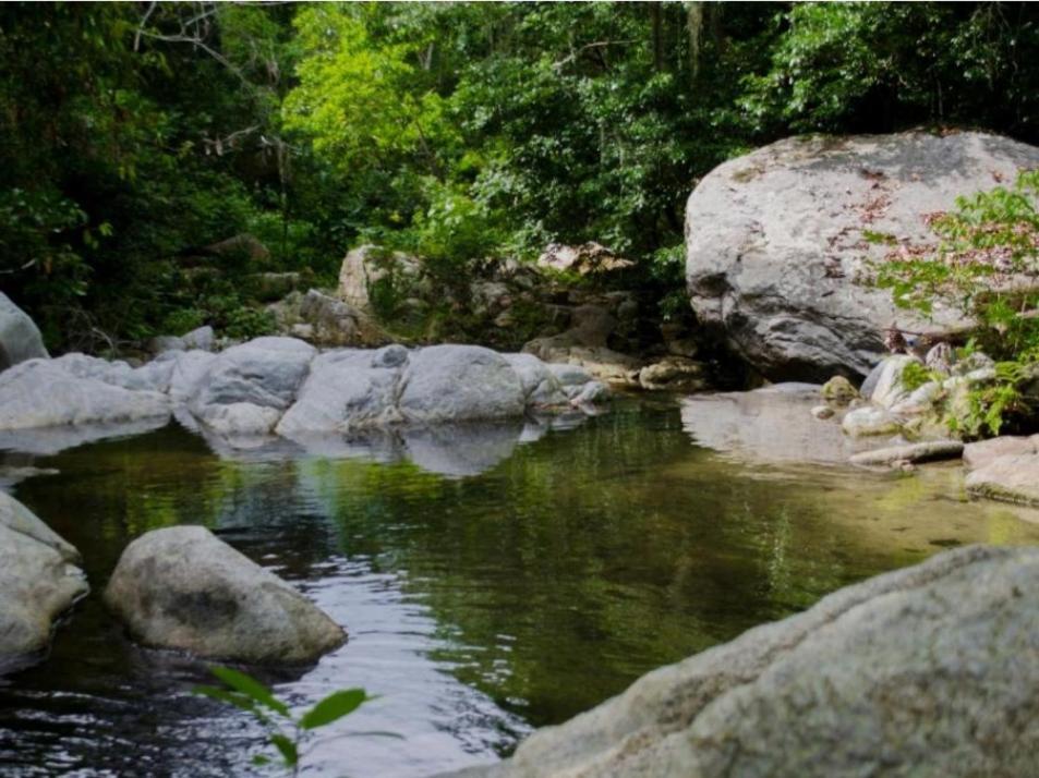 Ecocabanas Diosa Jaguar Tayrona La Esmeralda  Εξωτερικό φωτογραφία