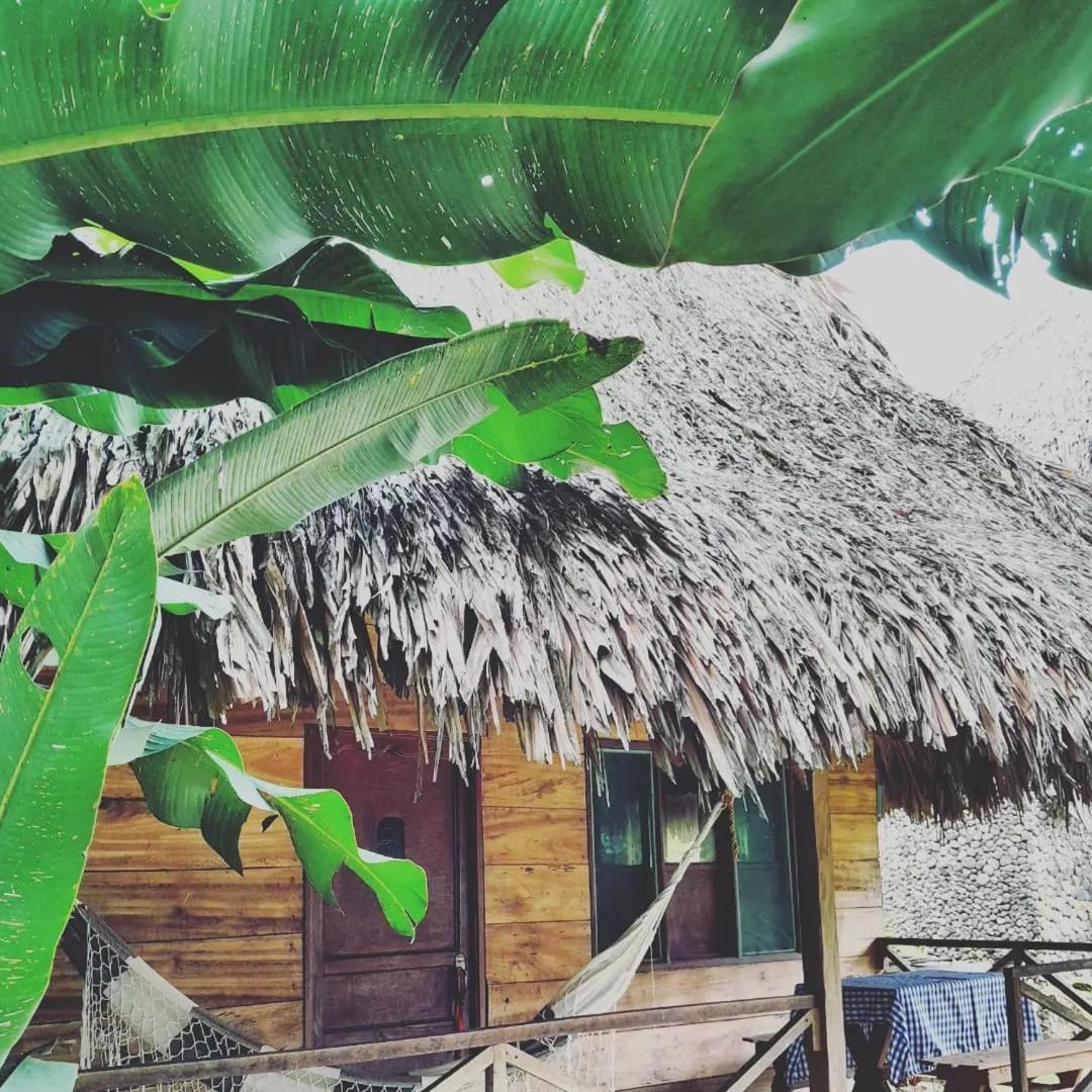 Ecocabanas Diosa Jaguar Tayrona La Esmeralda  Εξωτερικό φωτογραφία