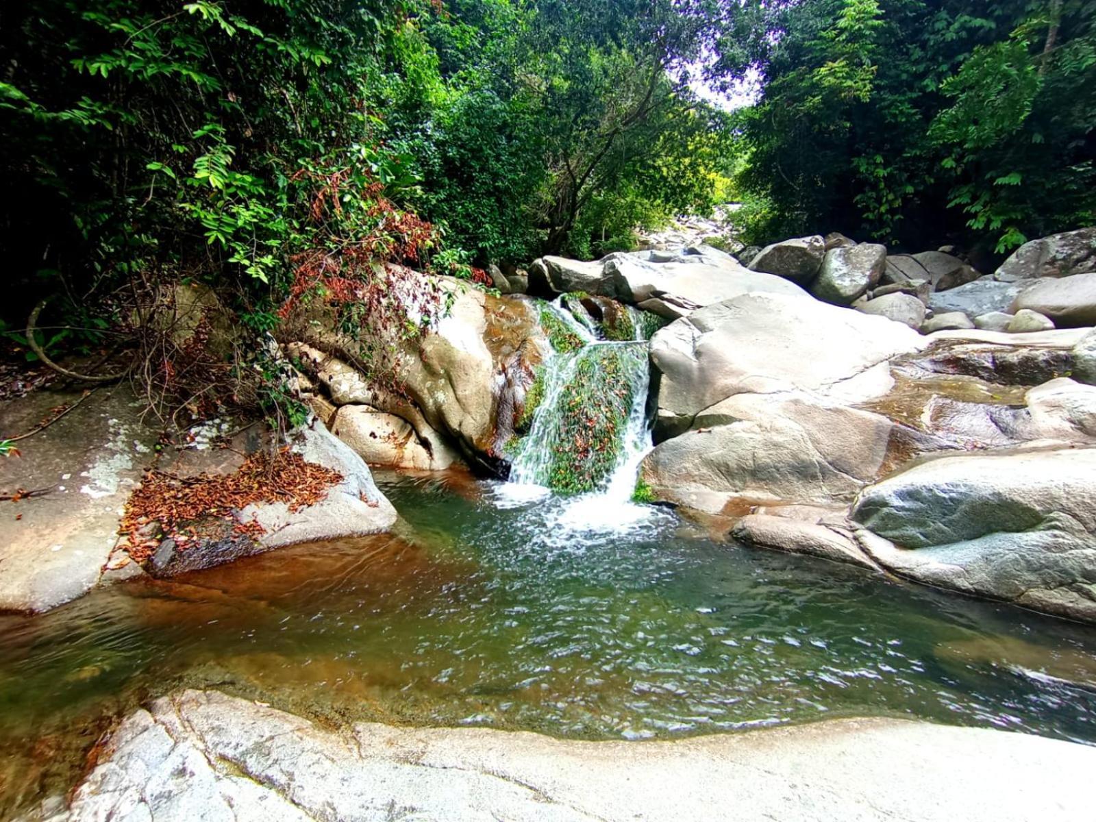 Ecocabanas Diosa Jaguar Tayrona La Esmeralda  Εξωτερικό φωτογραφία